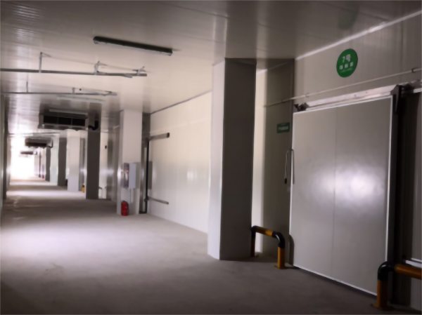 食品公司內(nèi)建造一個(gè)1000平包子、水餃速凍冷庫費(fèi)用是多少？