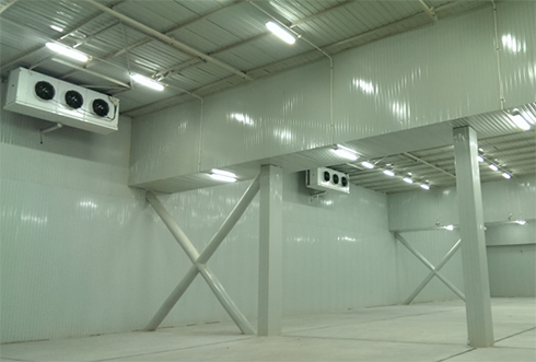 速凍冷庫(kù)設(shè)計(jì)注意事項(xiàng)及其具備功能有哪些？