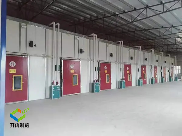 氣調(diào)保鮮冷庫需要用到哪些氣體？