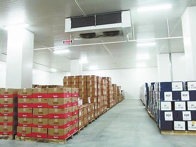 紅棗，大棗保鮮冷庫(kù)工程安裝冷庫(kù)建造