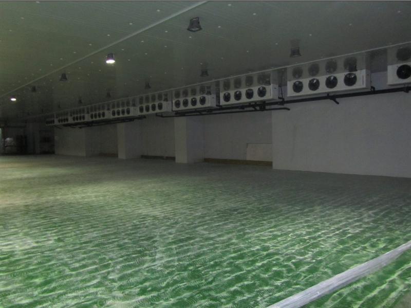 食品速凍冷庫(kù)安裝設(shè)計(jì)，速凍冷庫(kù)工作原理