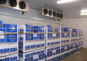 果蔬，黃桃氣調(diào)保鮮冷庫