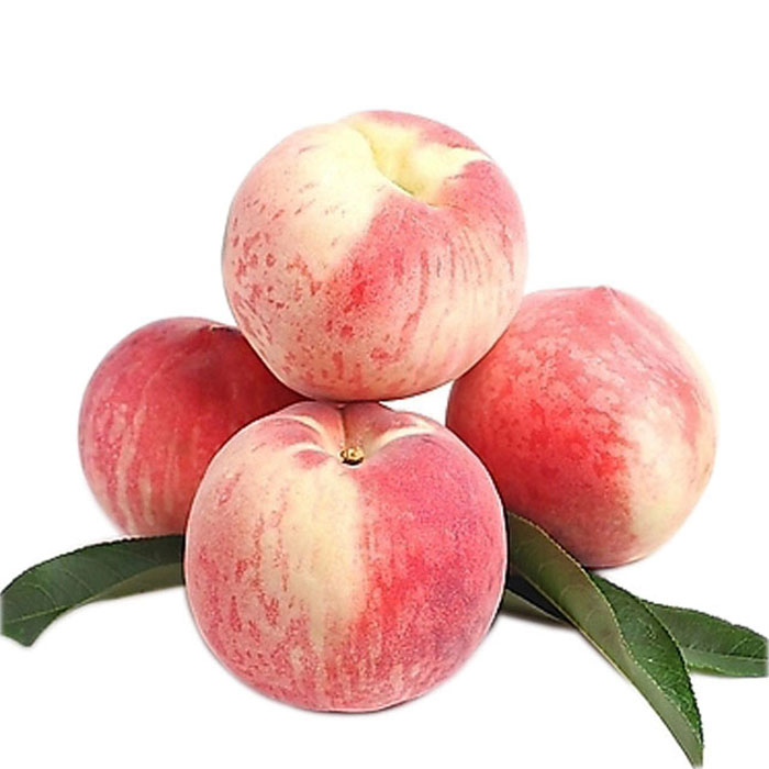 桃子冷庫保鮮方法，水果氣調(diào)庫安裝設計