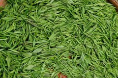 建一個低溫茶葉冷庫，冷凍庫耗電量及冷庫價格多少錢