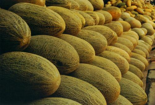 建一座哈密瓜保鮮庫(kù)需要多少投資？冷庫(kù)設(shè)備費(fèi)用