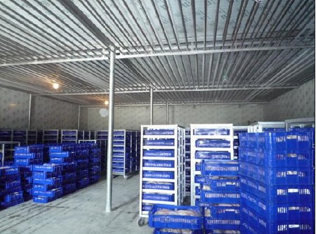 -18~-23℃冷凍庫(kù)哪種制冷方式好？（冷風(fēng)機(jī)，鋁排）