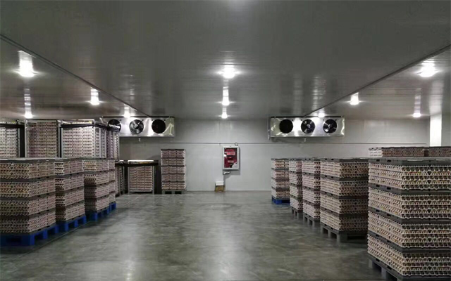1000噸0-5℃蘋果冷藏庫多少錢，2-4℃冷藏庫建設(shè)