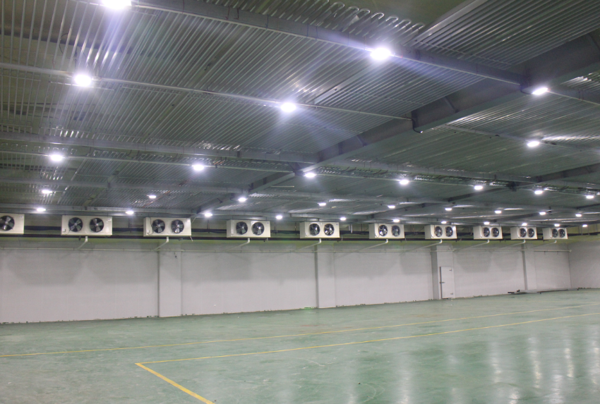 500噸冷凍肉冷庫建造，-18℃低溫肉類冷凍庫安裝造價