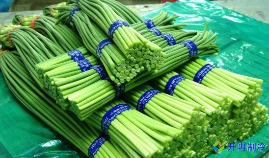 3000噸蒜薹冷庫前期規(guī)劃，冷庫造價預(yù)算多少錢