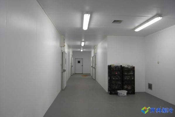 5000噸肉制品冷凍庫(kù)造價(jià)預(yù)算，上海建冷庫(kù)哪家好