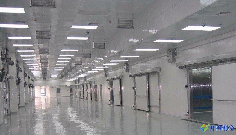 50000噸豬肉冷庫，冷庫總投資需要多少錢